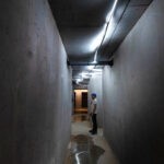 SANISERE, Ginko Grenoble,